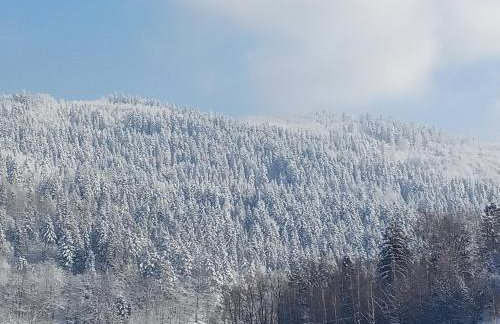 Dom w górach Przy szlaku - Foto 61