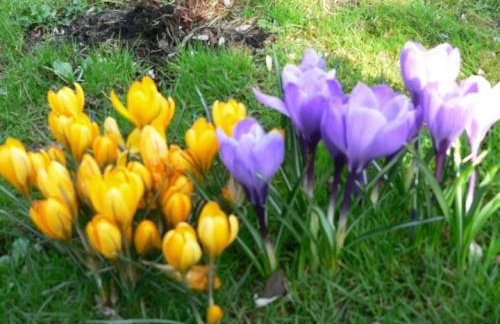 Agroturystyka w Dolinie Stawów - Photo 33