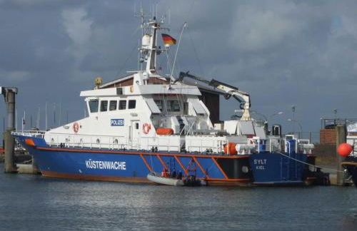 Midlum Zaunkönig - Foto 16