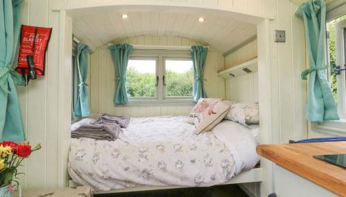 Cuckoo's Nest - Foto 5