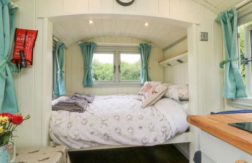 Cuckoo's Nest - Foto 5