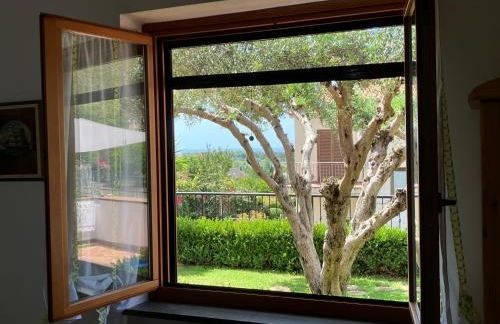 Tusitala - Rooms & Suite - Foto 34