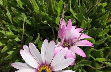 Skye Getaways Self Catering Accommodation - Foto 91