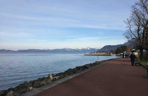 Appartement confort au bord du lac, proche embarcadère - Foto 13