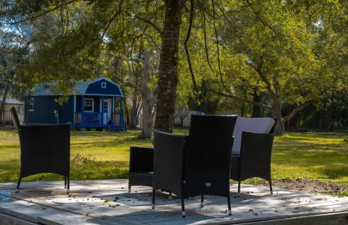 Alvin with all serenity and bliss and yet close dearly - Foto 5