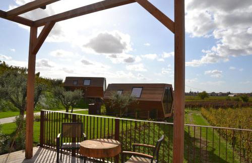 Glamping Alvearium Alturis - Foto 54