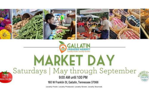 Room For the Family - Large Yard - Gallatin Stays - Foto 8