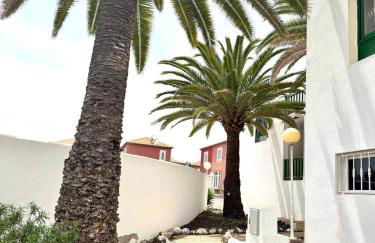 Kame House - Photo 23