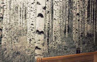 Flecksches Gut - Foto 56