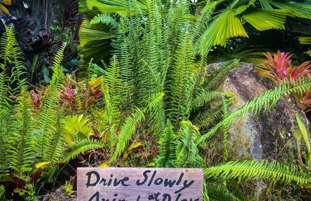 Gingerhill Farm Retreat - Foto 61