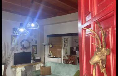 D&S home oinofita - Foto 1