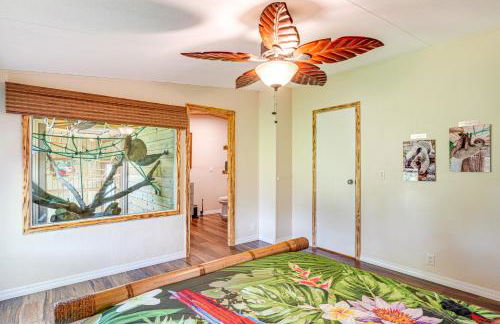 Sleep With Sloths and Lemurs! Modern Webster Home - Foto 14