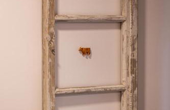 Nasze Calle - Foto 60