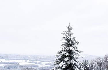 Ferienwohnungen zur Stadtmauer - Photo 31