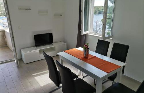 Apartman Janska - Foto 16