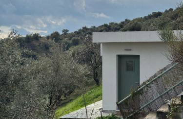 Admonis - Home in the olive grove - Foto 53