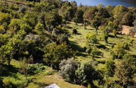 Quinta do Assento - Foto 10