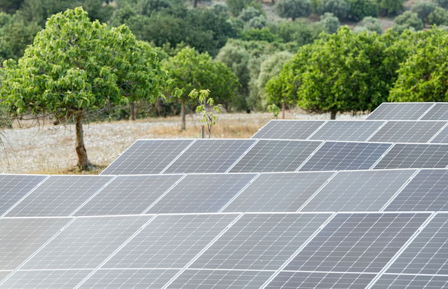 Hotel Monnàber Vell - Foto 68