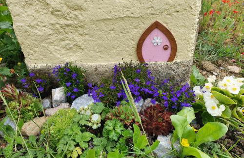 Dartmoor Reach Alpaca Farm - Foto 66