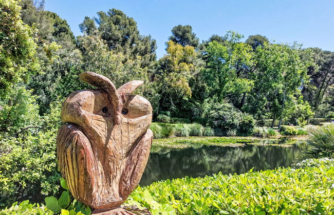 Les Morières - Foto 31