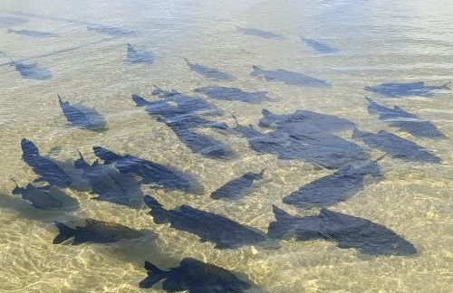 Casa lagoa dos tambaquis - Photo 14