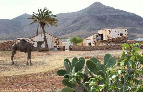Habitación independiente La gata pequeña - Foto 31