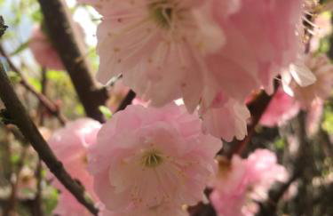 Uroczy dom i bezpłatny parking - Foto 33