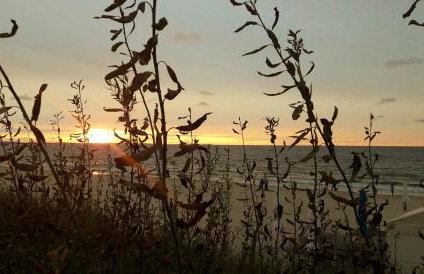 Comfortable Apartment A103 SEA VIEW 10th floor PARKING FREE - Foto 51