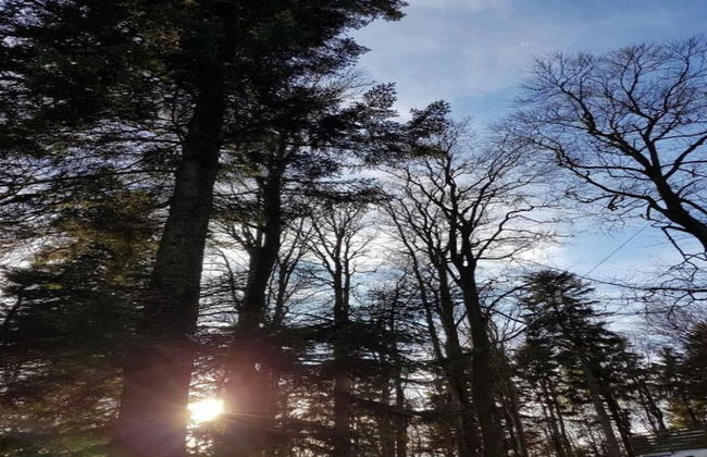 Ehemaliges Bauernhaus mit Liegewiese - Foto 25