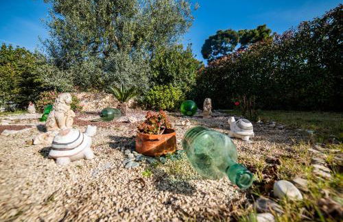 Oasi della pace - Foto 54