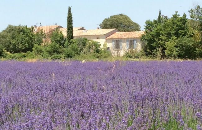 Mas du Grand Vallen - Foto 29