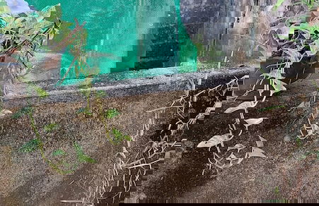 The Villa Marcelle - Photo 19