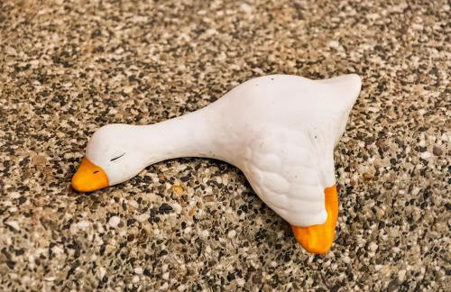 Fabelhaftes Ferienhaus in Thorstorf in Meeresnaehe - Foto 56