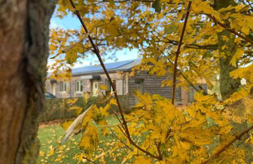 Chestnut Cottage at Gravel Farm - Photo 8