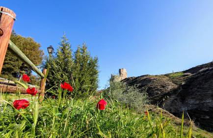 Casa Las 7 Maravillas - Foto 80