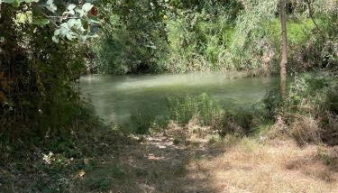 El Rincón del Agua - Foto 5