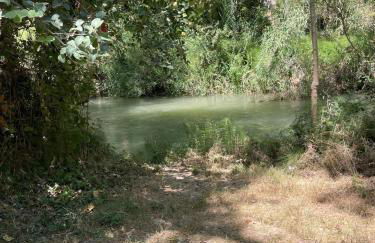 El Rincón del Agua - Foto 5