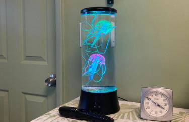 Comfort Nest - Foto 17