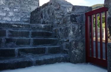 Melo's Place - Photo 44