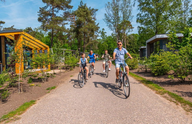 3 bedroom House in Arnhem with swimming pool and garden - Photo 13