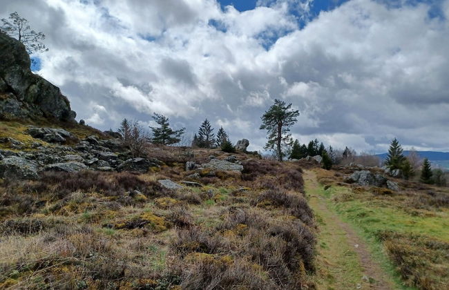 Schones Ferienhaus mit Grossem Garten bei Stadlern - Foto 23