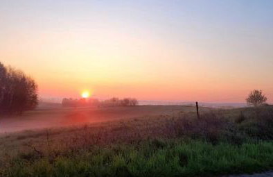 Tymek - domek - Foto 19