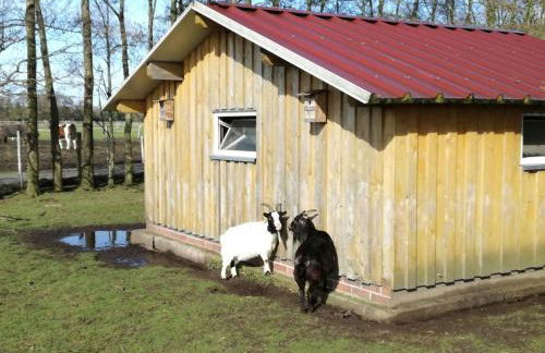 Wohlfühlurlaub auf dem Reit- und Ferienhof Goldberg - Foto 61