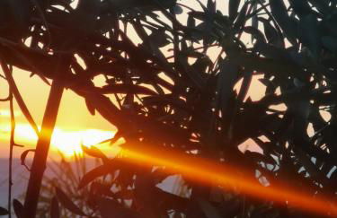 La Fattoria Dei Nonni - Foto 50