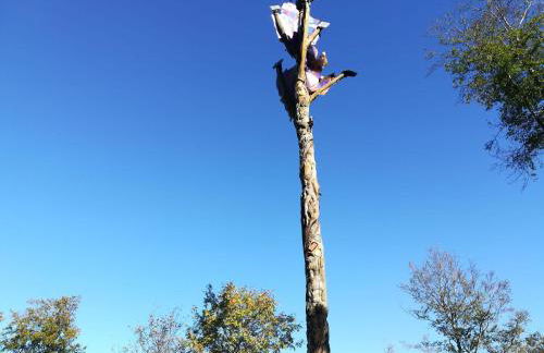 Ferienwohnungen Ambiente-Schmidt - Foto 7