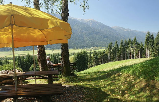 Small Pet-friendly Holiday Park With Nassfeld Card in High Season - Foto 21