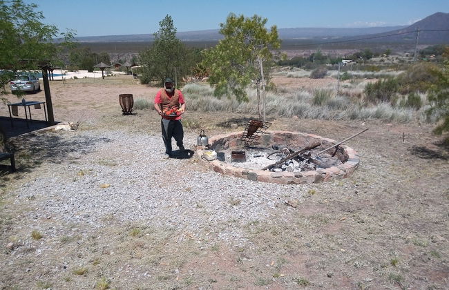 Dark Green House - Chacras de Coria - Photo 28