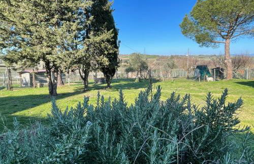 Agriturismo con cucina Il Favaio - Foto 50