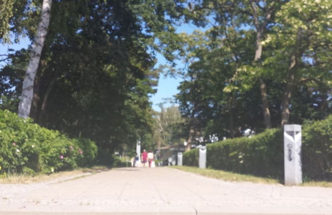 to the Beach Modern Retreat - Foto 10