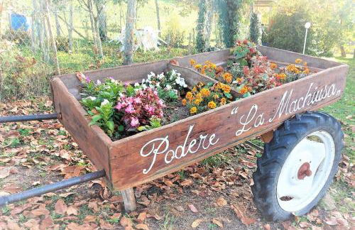 Podere La Machiusa - Villa with pool - Foto 9